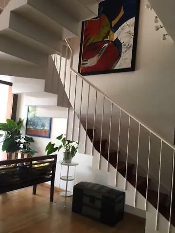 Casa Del Casco Historico Apartment La Laguna  Homestay